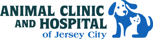 Veterinarians | Animal Clinic & Hospital in Jersey City